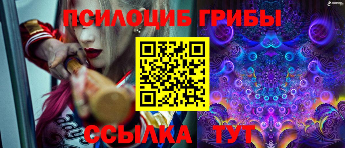 Псилоцибиновые грибы прущие грибы Ялта